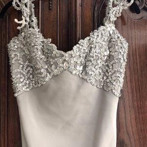 Evening dress (gown)